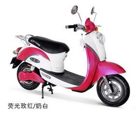 低投资开电动车专卖店 致富之路的机遇与挑战