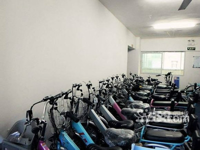 兴亿豪锂电车 龙岗中心城的电动车批发优选