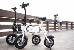 乐行P1电动车低价风暴，雷军震惊引发行业热议