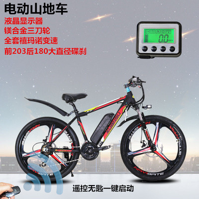 电动自行车市场 销售现状与未来趋势